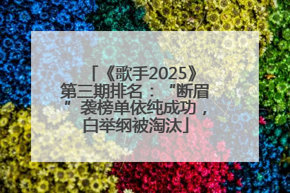 《歌手2025》第三期排名：“断眉”袭榜单依纯成功，白举纲被淘汰