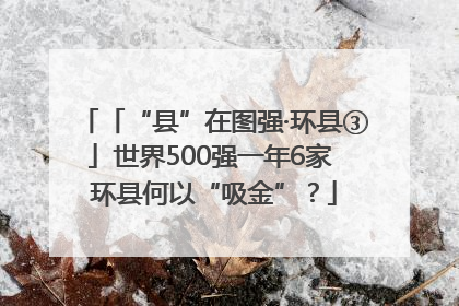 「“县”在图强·环县③」世界500强一年6家 环县何以“吸金”？