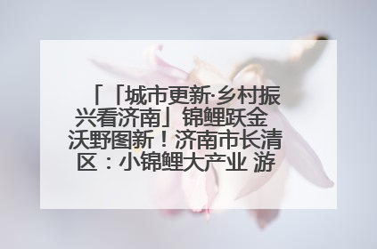 「城市更新·乡村振兴看济南」锦鲤跃金 沃野图新！济南市长清区：小锦鲤大产业 游出农旅新风景