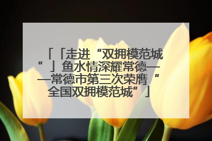 「走进“双拥模范城”」鱼水情深耀常德——常德市第三次荣膺“全国双拥模范城”