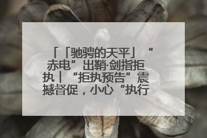 「驰骋的天平」“赤电”出鞘·剑指拒执︱“拒执预告”震撼督促，小心“执行”变“执刑”