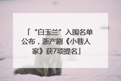 “白玉兰”入围名单公布，浙产剧《小巷人家》获7项提名
