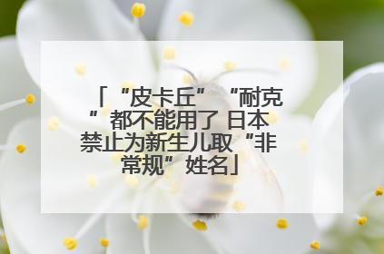 “皮卡丘”“耐克”都不能用了 日本禁止为新生儿取“非常规”姓名