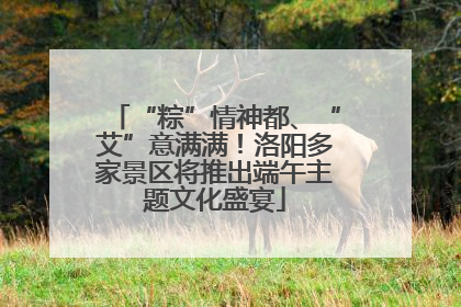 “粽”情神都、“艾”意满满！洛阳多家景区将推出端午主题文化盛宴