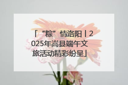 “粽”情洛阳丨2025年嵩县端午文旅活动精彩纷呈