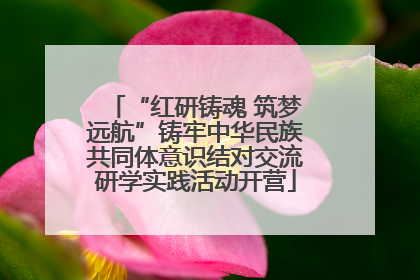 “红研铸魂 筑梦远航”铸牢中华民族共同体意识结对交流研学实践活动开营