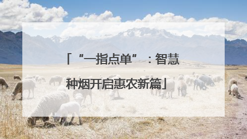 “一指点单”：智慧种烟开启惠农新篇