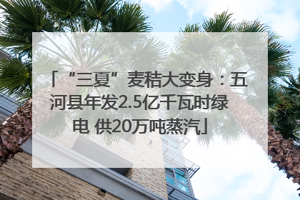 “三夏”麦秸大变身：五河县年发2.5亿千瓦时绿电 供20万吨蒸汽