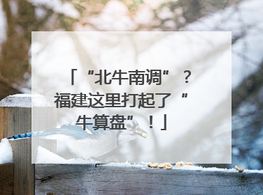 “北牛南调”？福建这里打起了“牛算盘”！