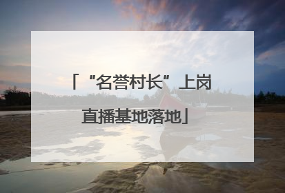 “名誉村长”上岗 直播基地落地