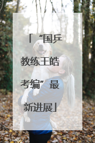 “国乒教练王皓考编”最新进展
