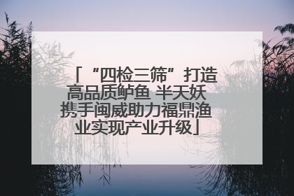 “四检三筛”打造高品质鲈鱼 半天妖携手闽威助力福鼎渔业实现产业升级