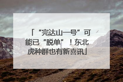 “完达山一号”可能已“脱单”！东北虎种群也有新喜讯