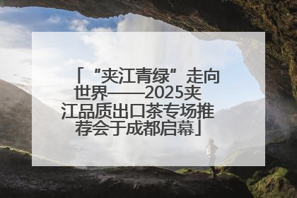 “夹江青绿”走向世界——2025夹江品质出口茶专场推荐会于成都启幕