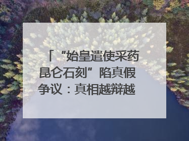 “始皇遣使采药昆仑石刻”陷真假争议：真相越辩越明｜新京报专栏