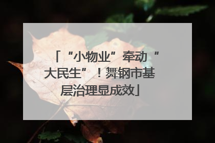 “小物业”牵动“大民生”！舞钢市基层治理显成效