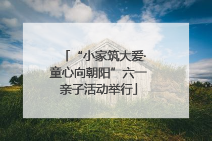 “小家筑大爱·童心向朝阳”六一亲子活动举行