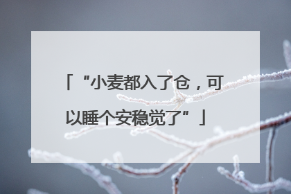 “小麦都入了仓，可以睡个安稳觉了”