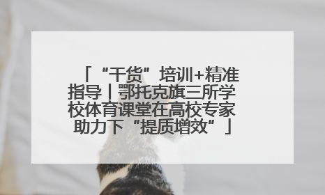 “干货”培训+精准指导丨鄂托克旗三所学校体育课堂在高校专家助力下“提质增效”