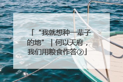 “我就想种一辈子的地”｜何以天府，我们用粮食作答②