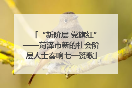 “新阶层 党旗红”——菏泽市新的社会阶层人士奏响七一赞歌