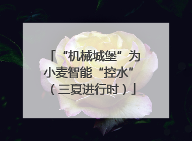 “机械城堡”为小麦智能“控水”（三夏进行时）