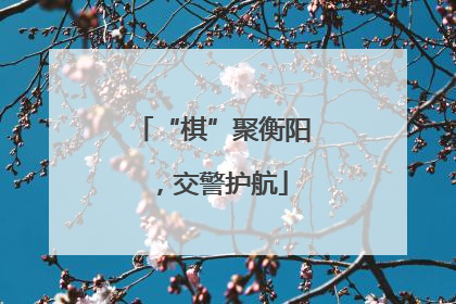 “棋”聚衡阳，交警护航