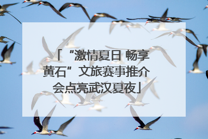 “激情夏日 畅享黄石”文旅赛事推介会点亮武汉夏夜
