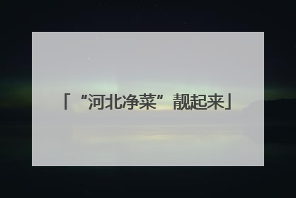 “河北净菜”靓起来