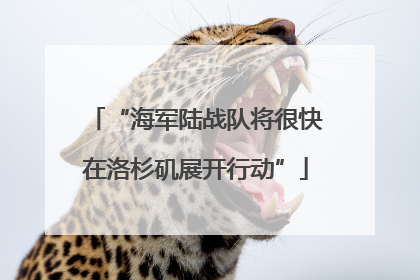 “海军陆战队将很快在洛杉矶展开行动”