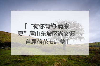 “荷你有约·清凉一夏”眉山东坡区尚义镇首届荷花节启幕