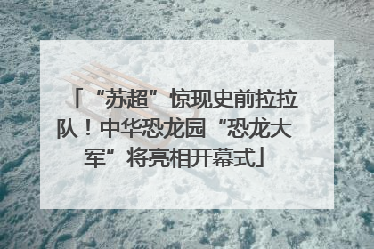 “苏超”惊现史前拉拉队！中华恐龙园“恐龙大军”将亮相开幕式