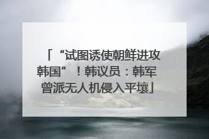 “试图诱使朝鲜进攻韩国”！韩议员：韩军曾派无人机侵入平壤