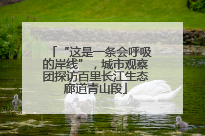 “这是一条会呼吸的岸线”，城市观察团探访百里长江生态廊道青山段