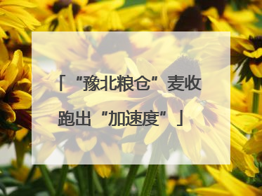 “豫北粮仓”麦收跑出“加速度”