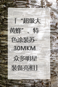 “超级大黄蜂”、特色涂装苏-30MKM 众多明星装备亮相