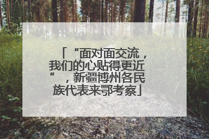 “面对面交流，我们的心贴得更近”，新疆博州各民族代表来鄂考察