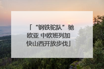 “钢铁驼队”驰欧亚 中欧班列加快山西开放步伐