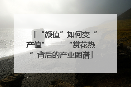 “颜值”如何变“产值”——“赏花热”背后的产业图谱