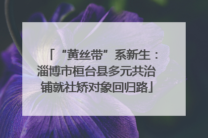 “黄丝带”系新生：淄博市桓台县多元共治铺就社矫对象回归路