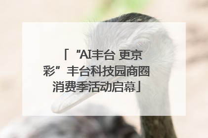 “AI丰台 更京彩”丰台科技园商圈消费季活动启幕