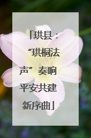 珙县：“珙桐法声”奏响平安共建新序曲