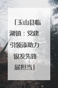 玉山县临湖镇：党建引领添助力 银发先锋展担当