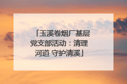 玉溪卷烟厂基层党支部活动：清理河道 守护清溪