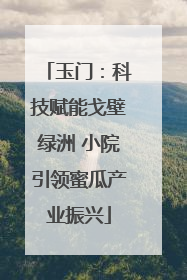 玉门：科技赋能戈壁绿洲 小院引领蜜瓜产业振兴