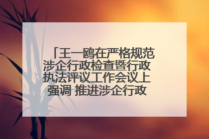 王一鸥在严格规范涉企行政检查暨行政执法评议工作会议上强调 推进涉企行政检查质效大幅提升