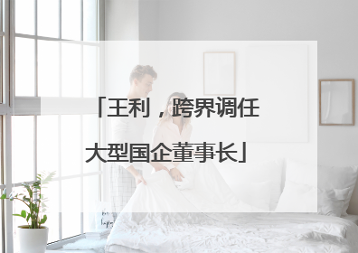 王利，跨界调任大型国企董事长