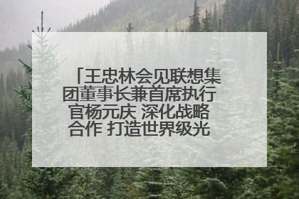 王忠林会见联想集团董事长兼首席执行官杨元庆 深化战略合作 打造世界级光电子信息产业集群