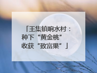王集镇响水村：种下“黄金桃” 收获“致富果”