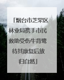 烟台市芝罘区林业局携手市民救助受伤牛背鹭 待其康复后放归自然